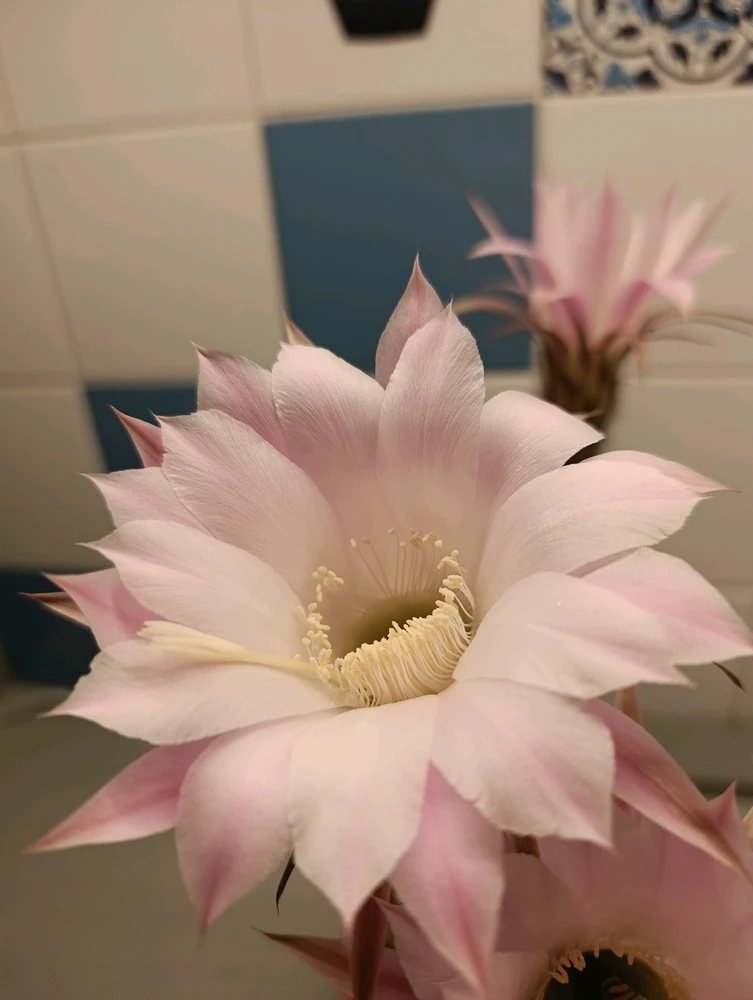 Obrázek nahrál ⭕⭕ Hlubina