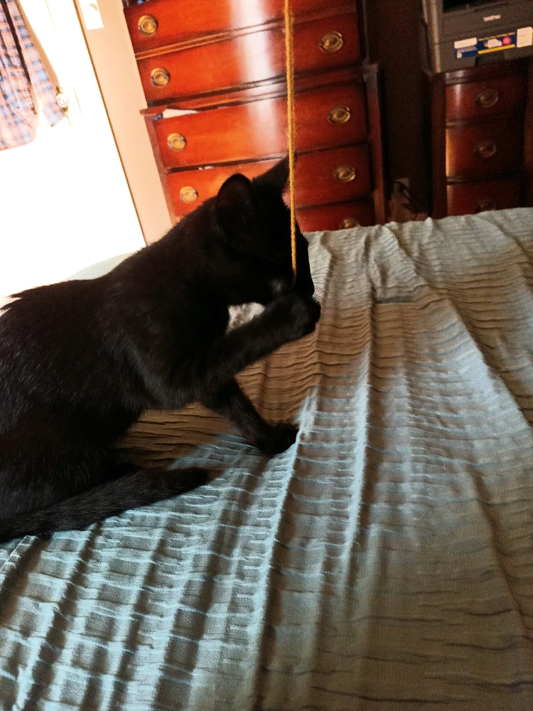 GIF uploaded by Tony