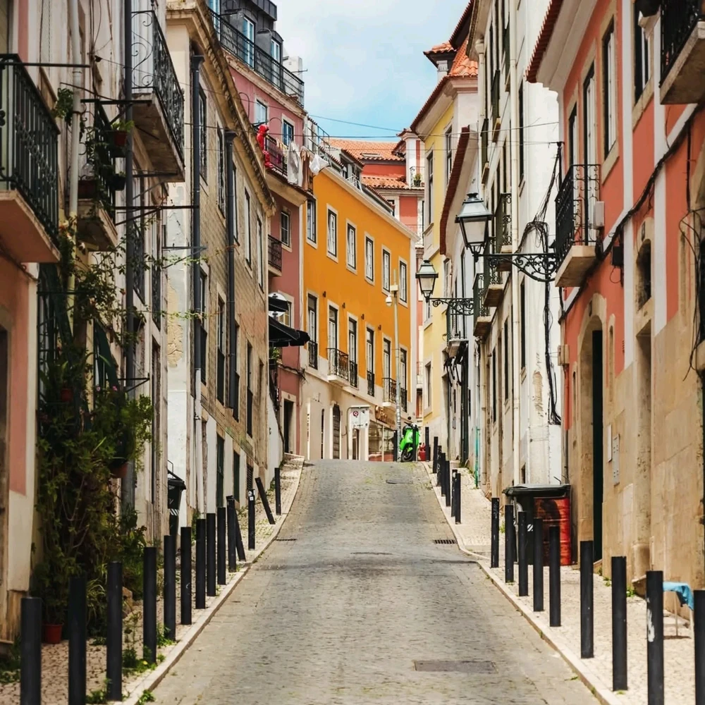 Image uploaded by Asif