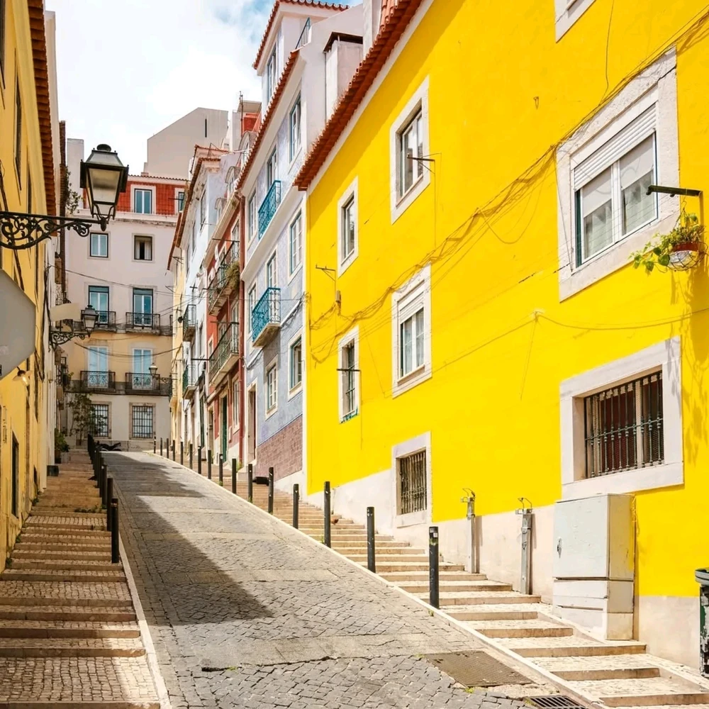 Image uploaded by Asif