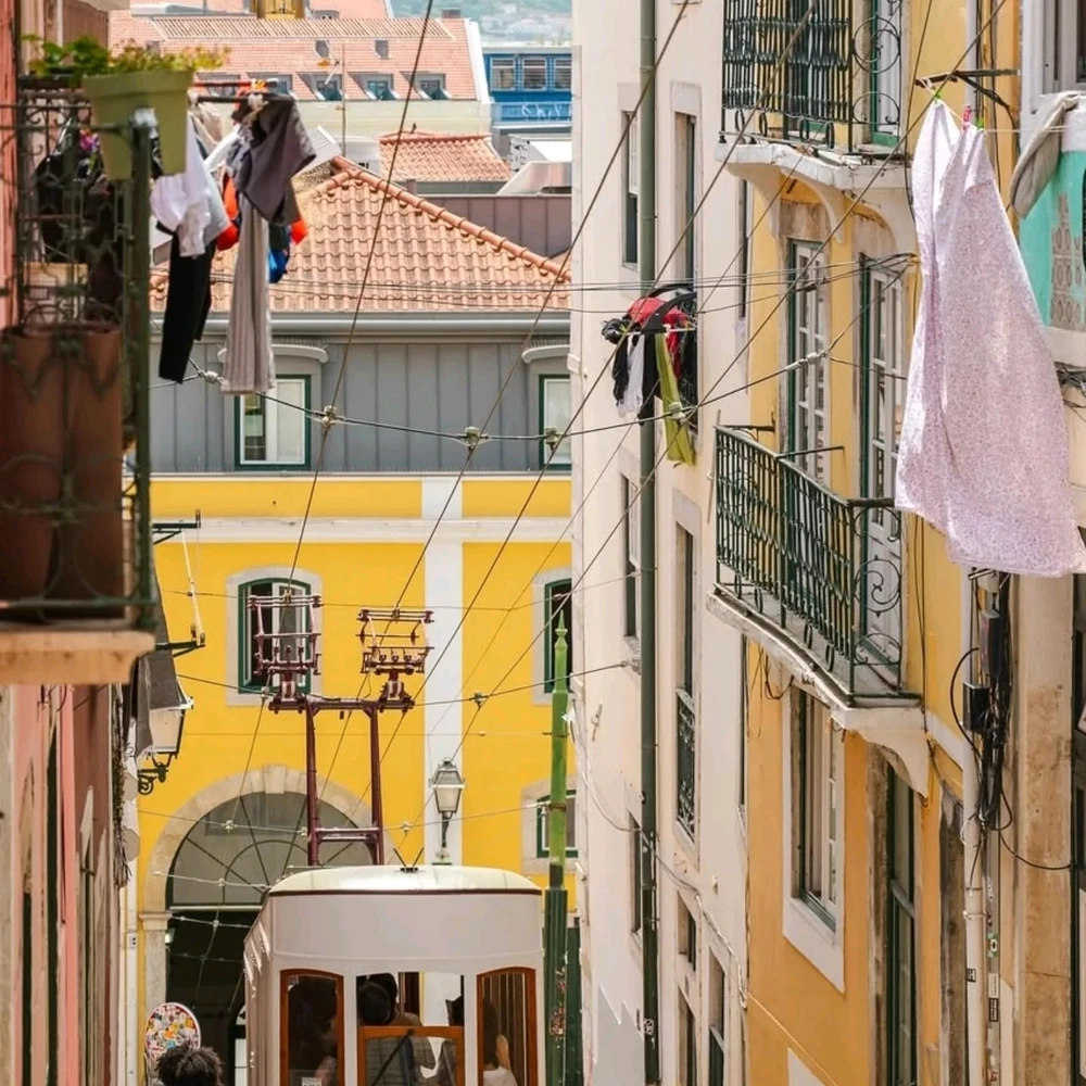 Image uploaded by Asif