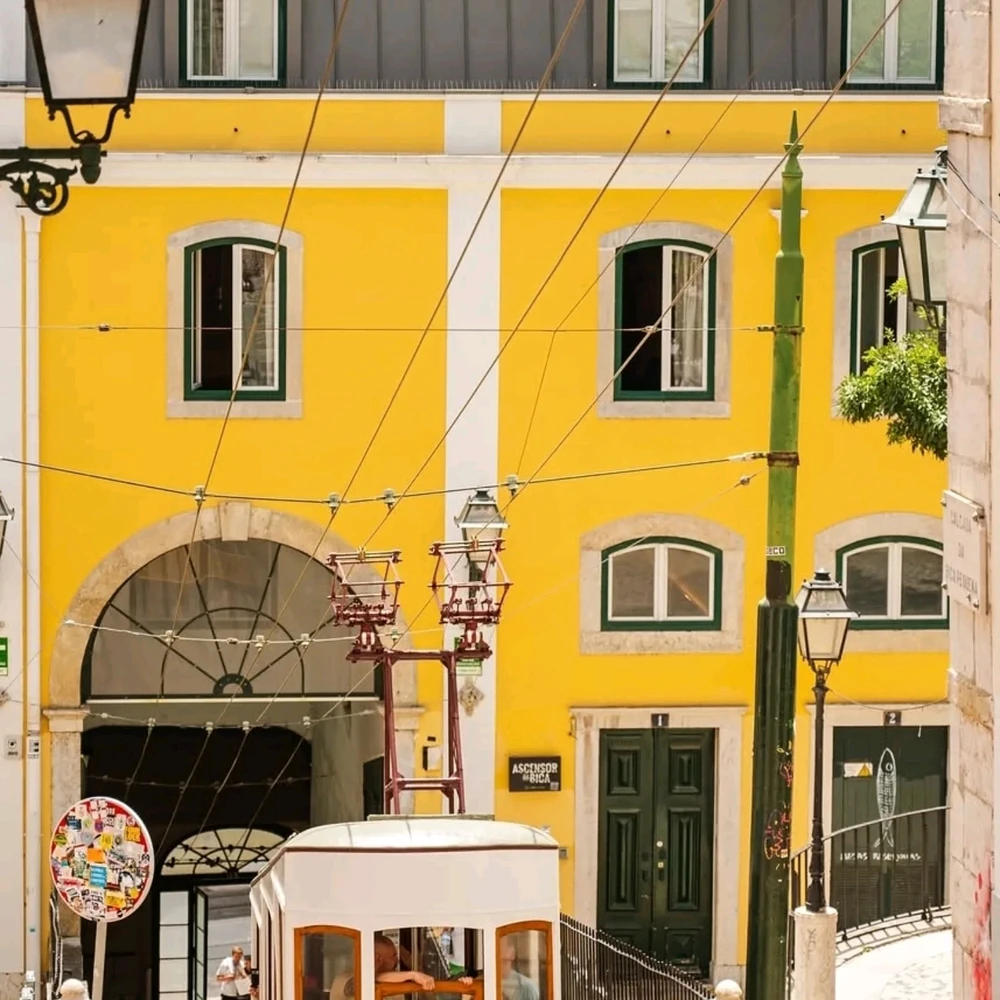 Image uploaded by Asif