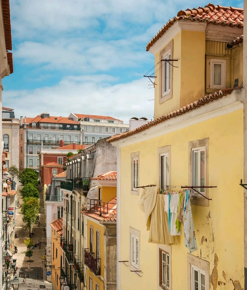 Image uploaded by Asif