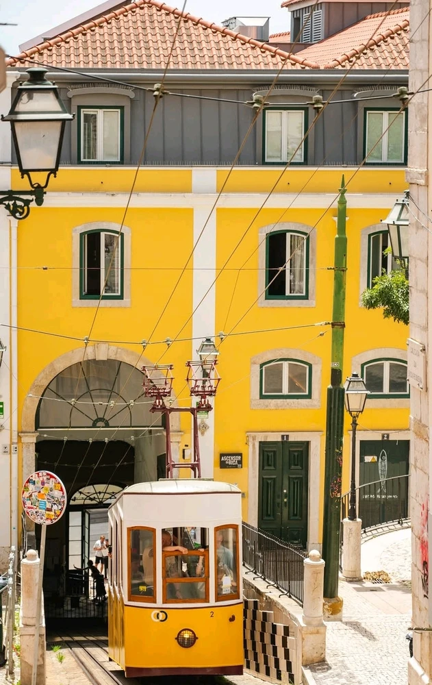 Image uploaded by Asif