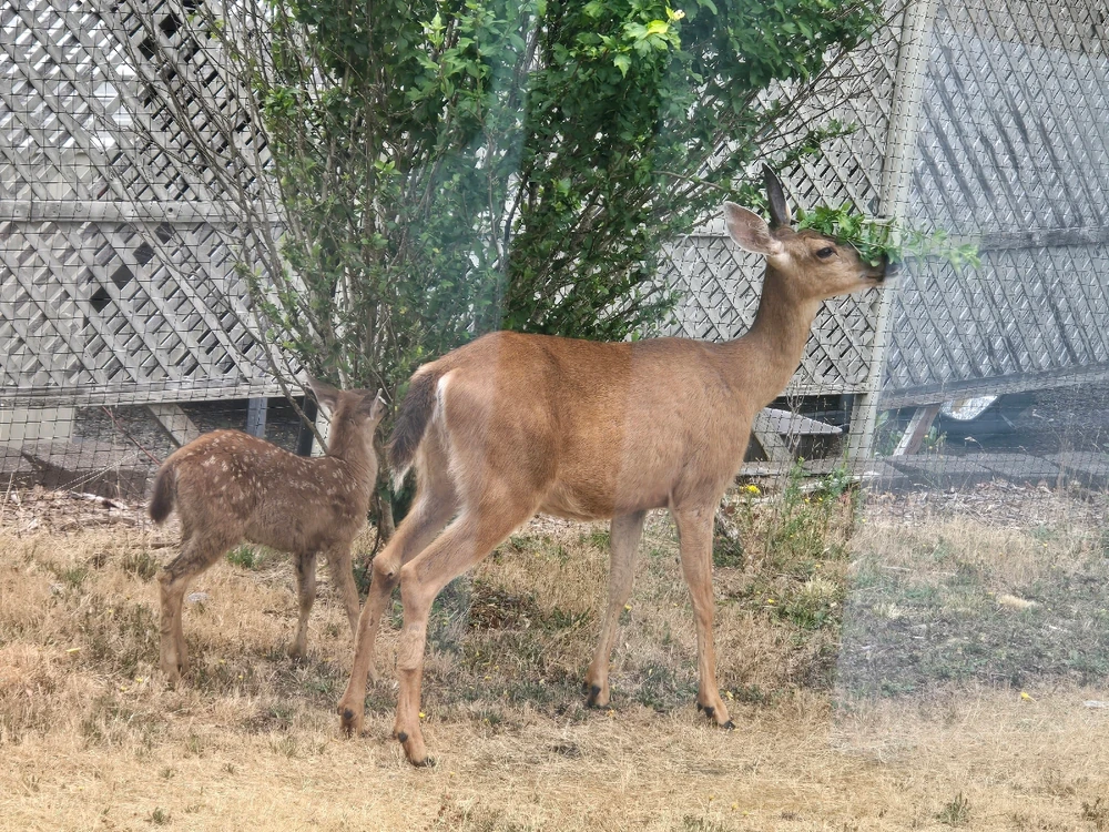 GIF uploaded by Scott