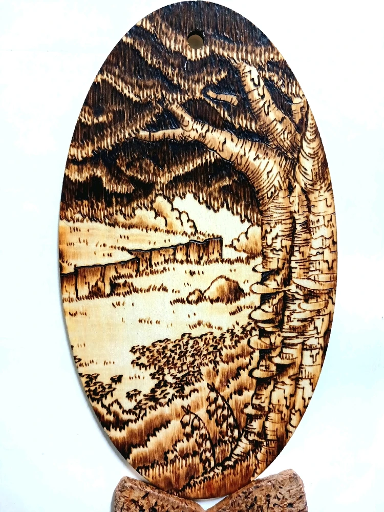 김남기님이 올린 사진