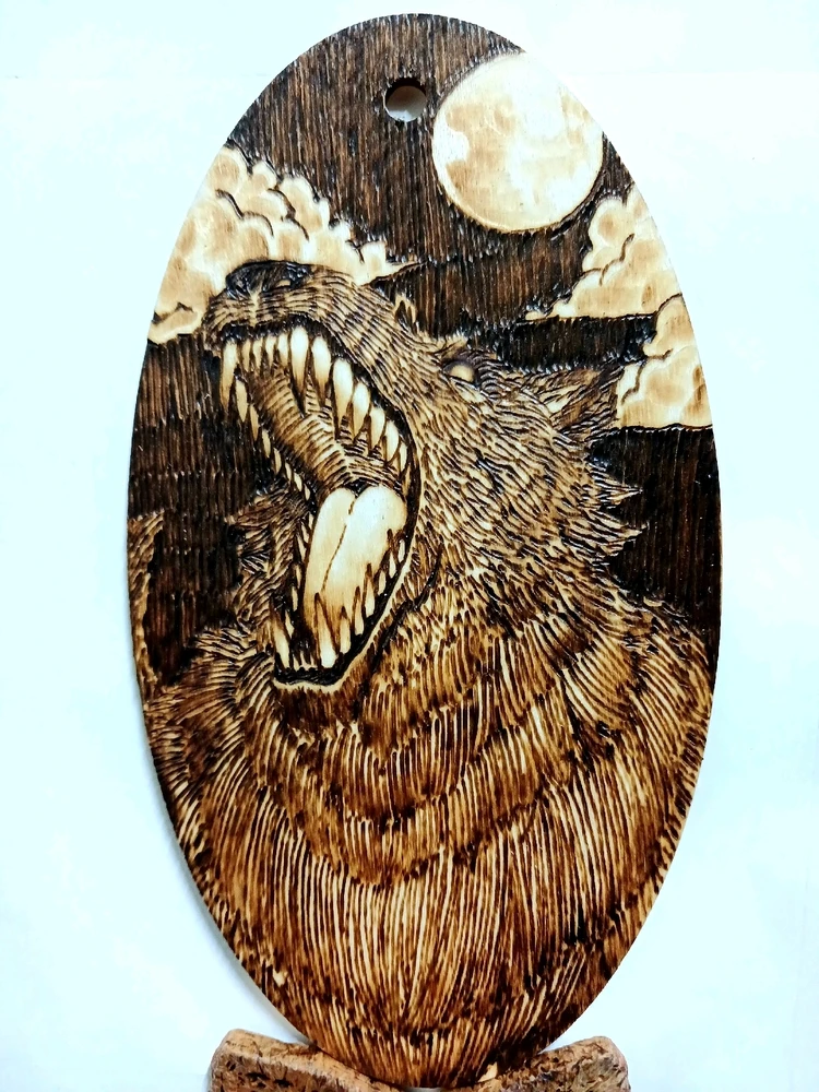 김남기님이 올린 사진