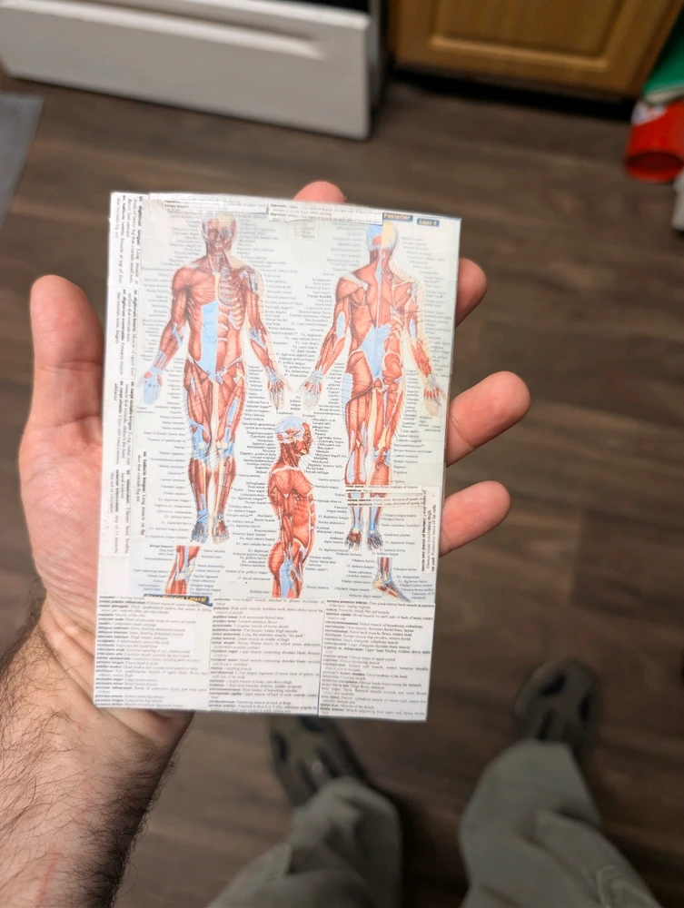 Image uploaded by 🇺🇲Daniel Fisk Bennett