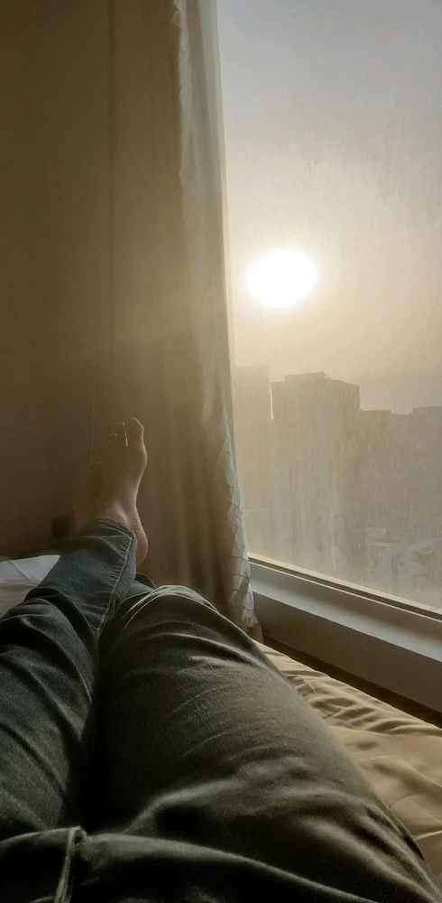 GIF uploaded by Rami El Sayed