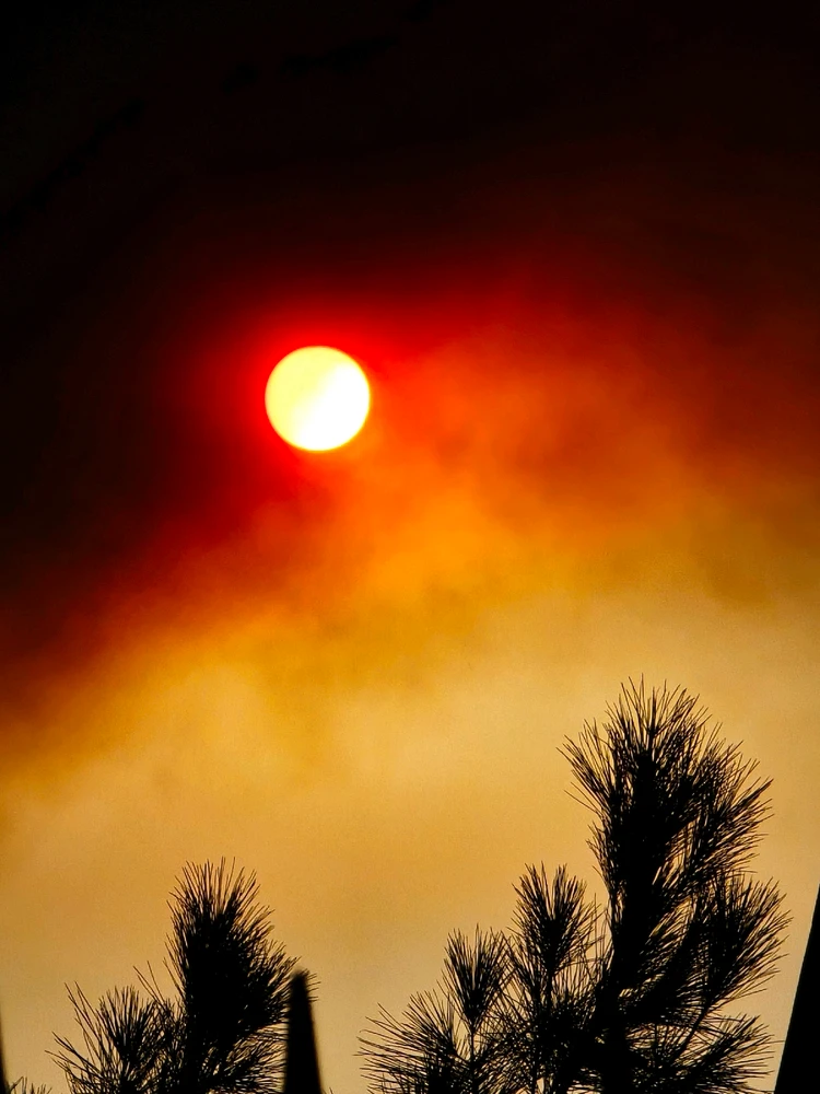 Image uploaded by Ren