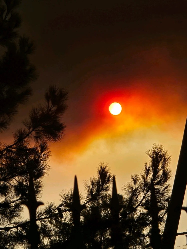 Image uploaded by Ren