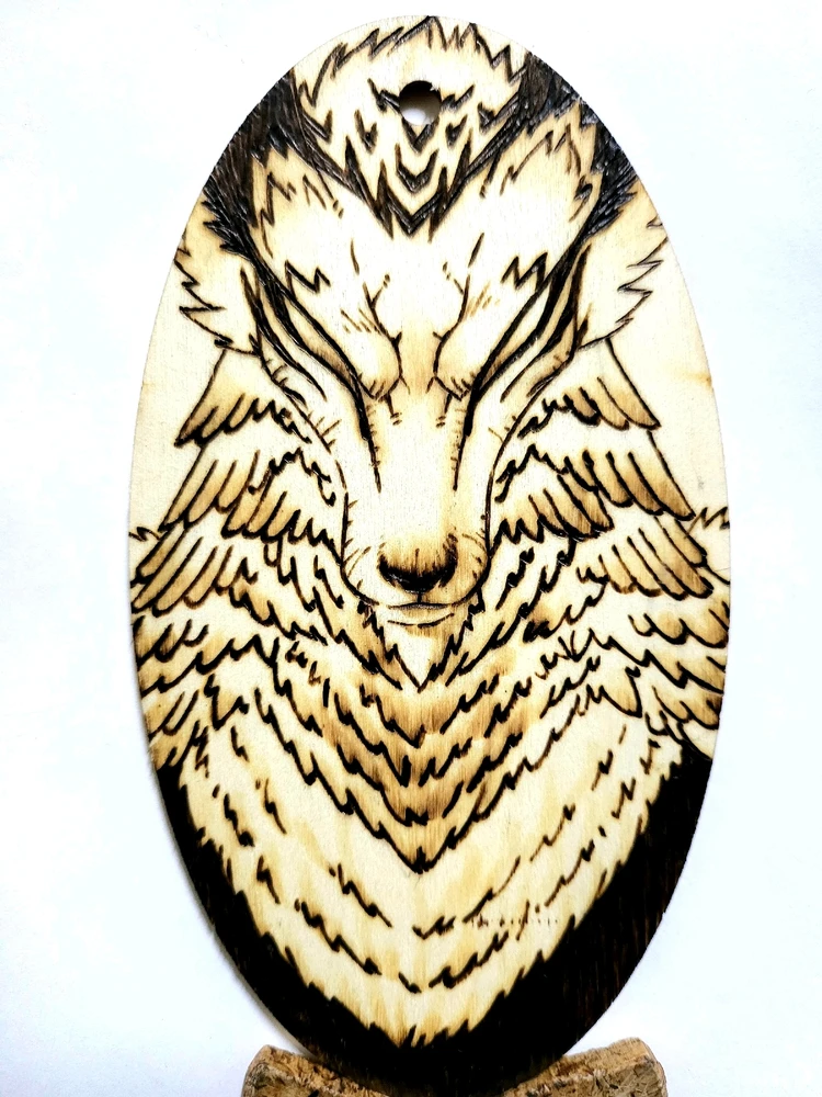 김남기님이 올린 사진