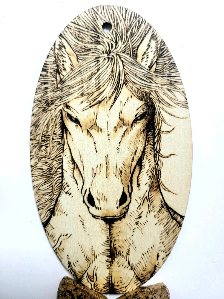 김남기님이 올린 사진