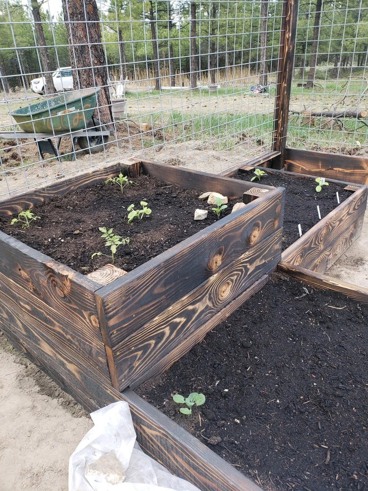 Image uploaded by Attila