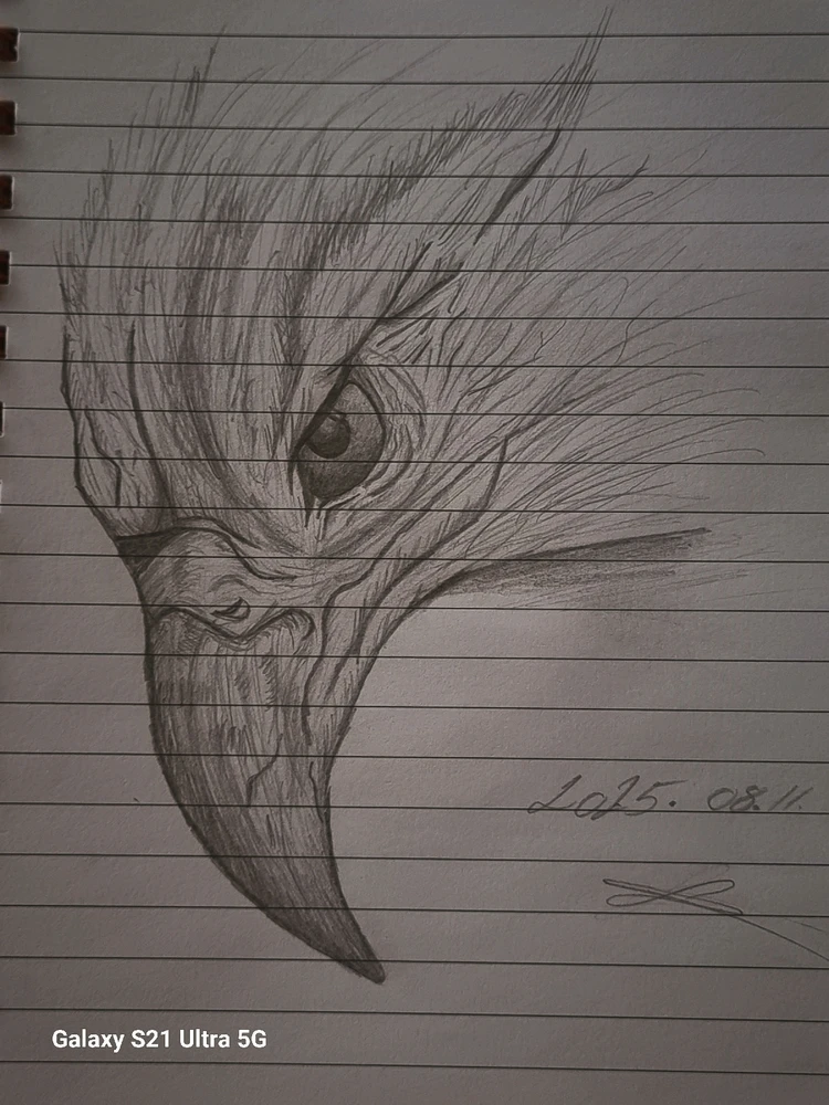 Darinka által feltöltött GIF