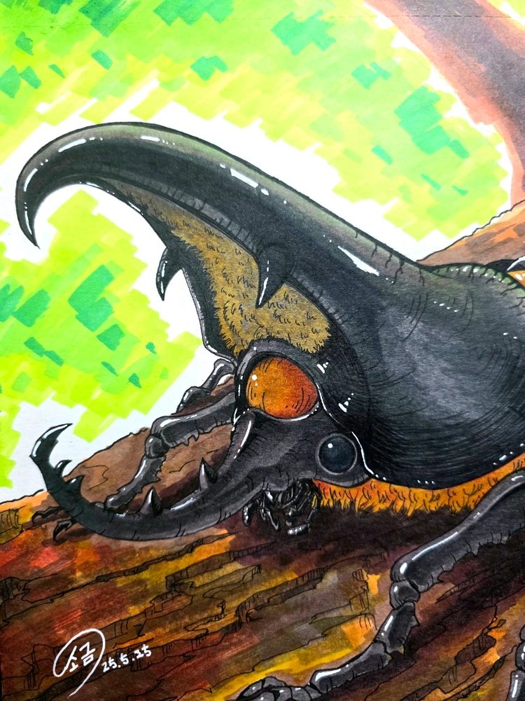 김남기님이 올린 사진