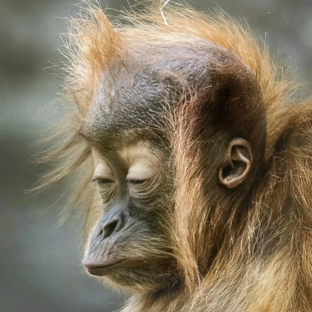 GIF uploaded by ❤ Sophia aka Mango Mami ❤️