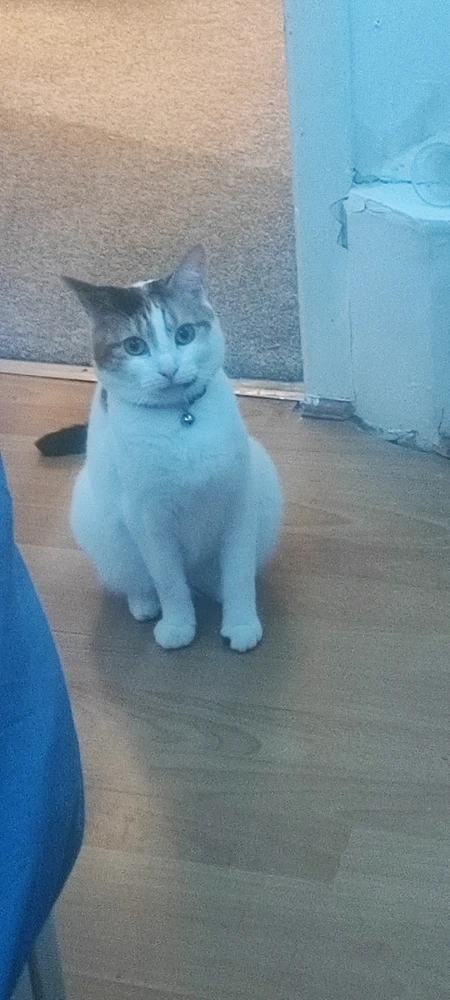 Image uploaded by Sam