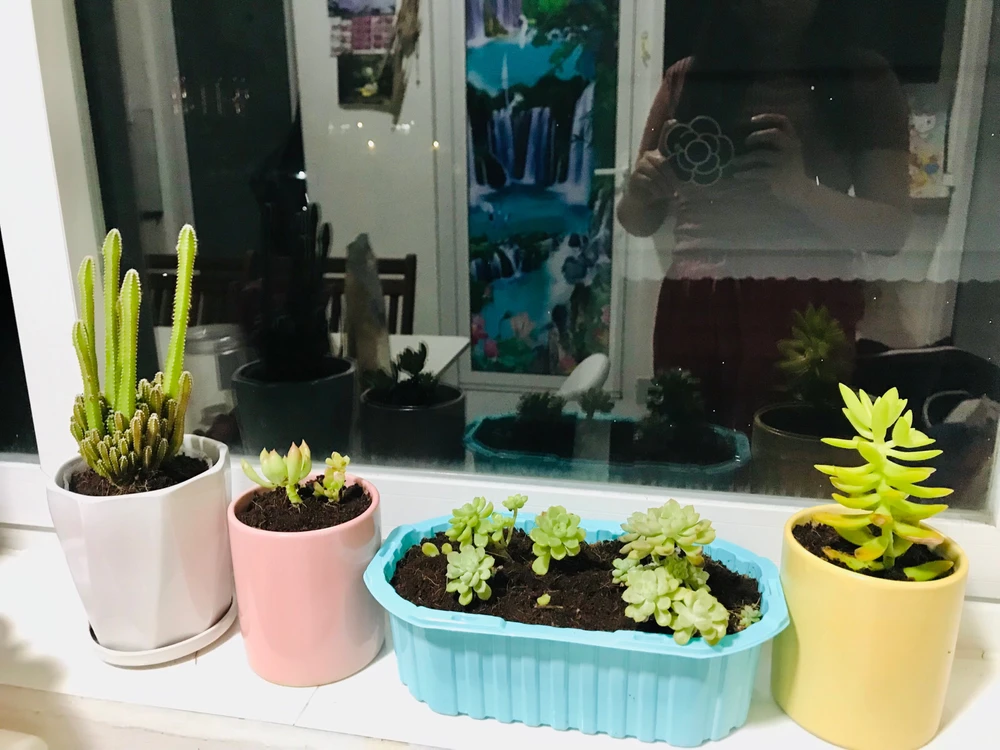 GIF uploaded by Ella