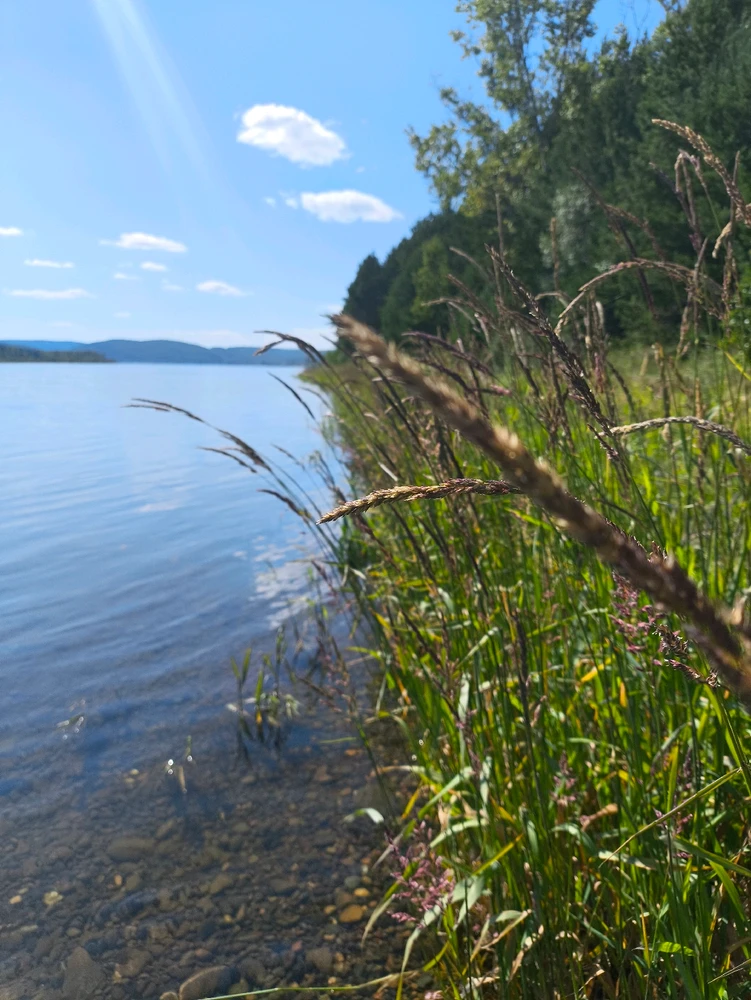 GIF загрузил Юлия