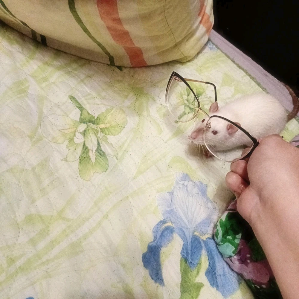 Victoria 上傳的 GIF