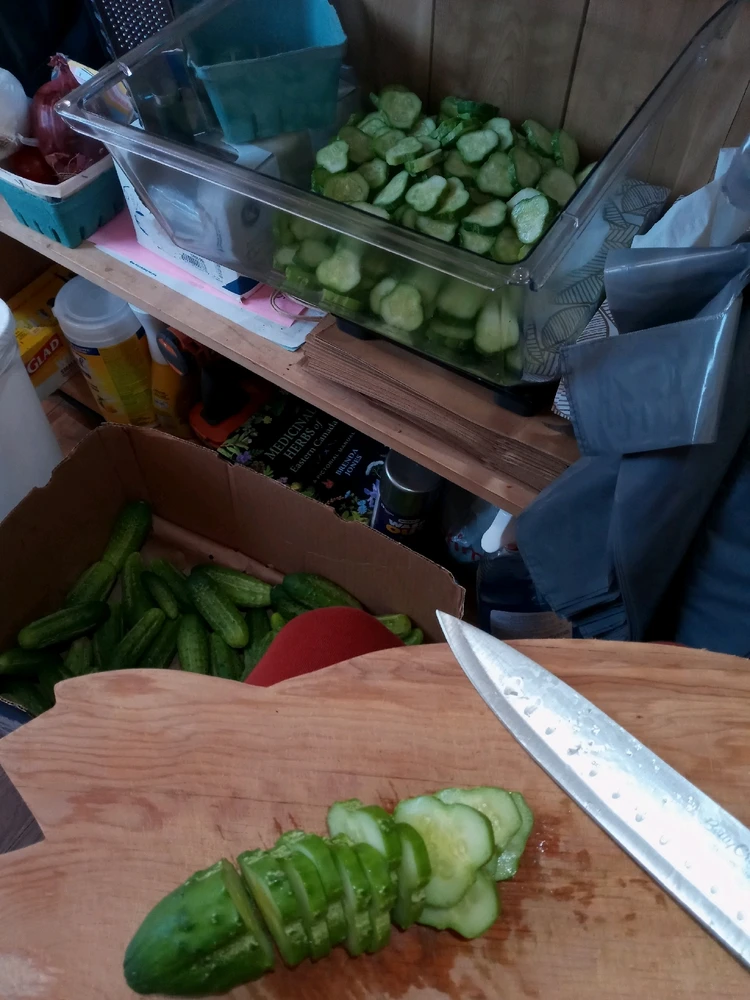 GIF uploaded by Brooke