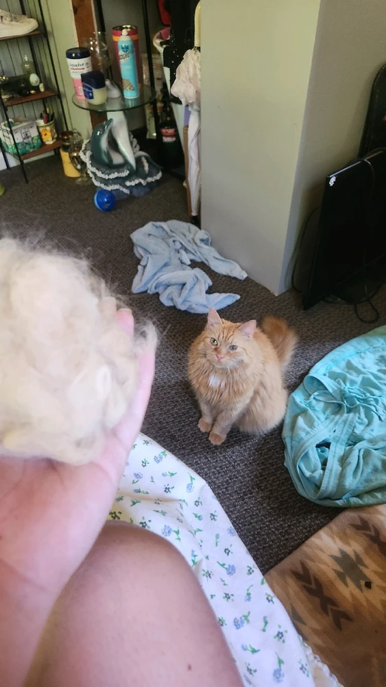 Everyday is a battle worth losing