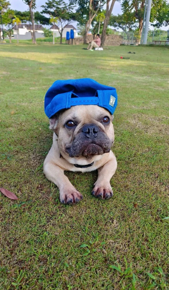 GIF hochgeladen von Jeanne