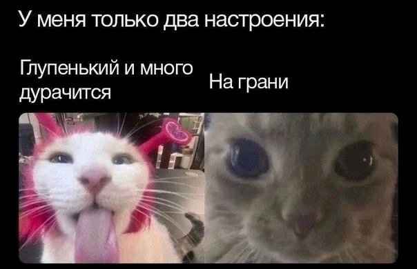 GIF загрузил Слава