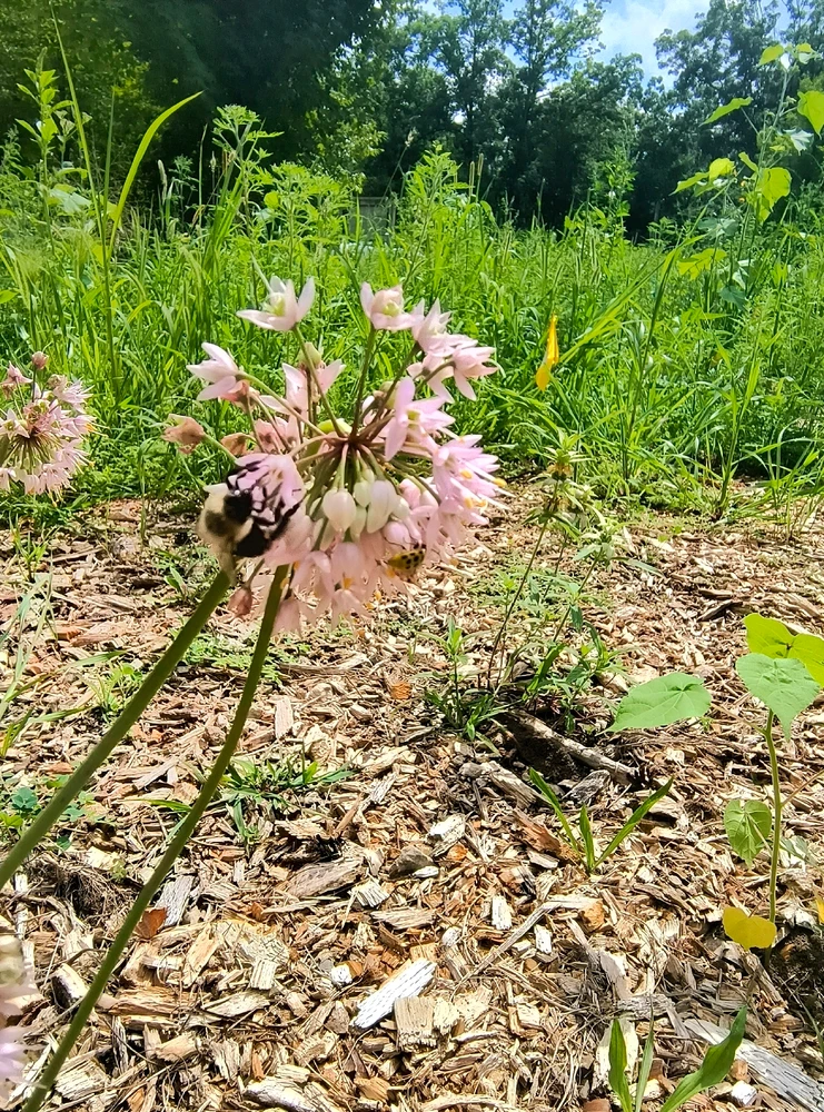 Image uploaded by Desiree