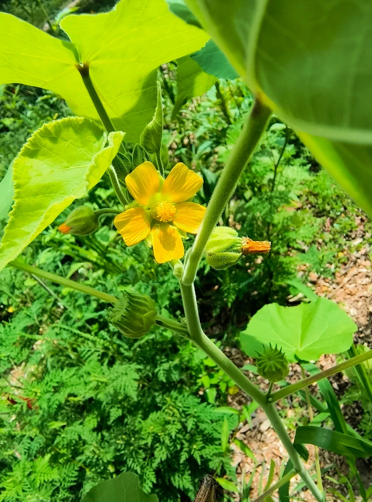 Image uploaded by Desiree