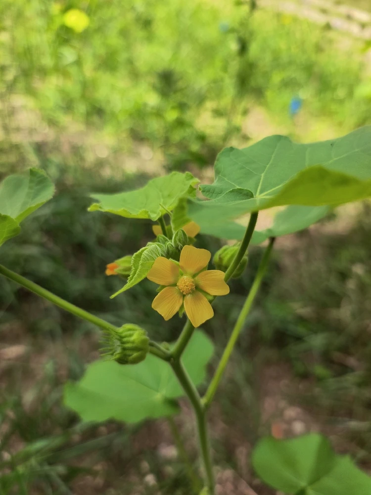 Image uploaded by Desiree