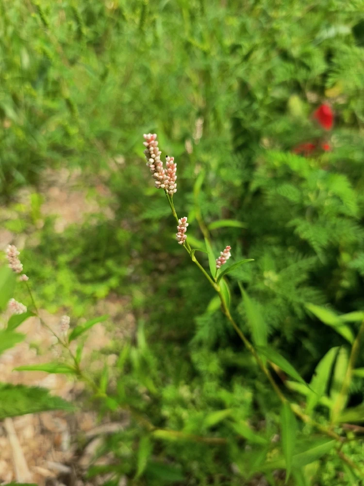 Image uploaded by Desiree