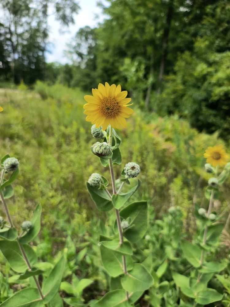 Image uploaded by Desiree