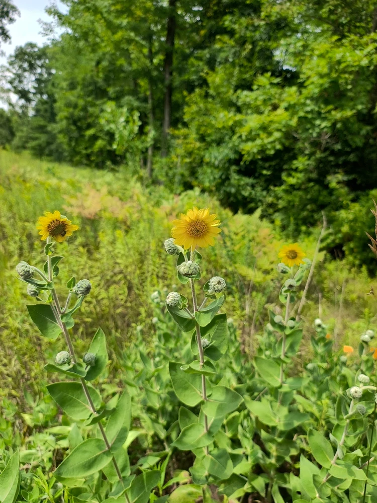 Image uploaded by Desiree