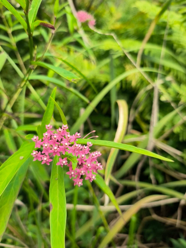 Image uploaded by Desiree