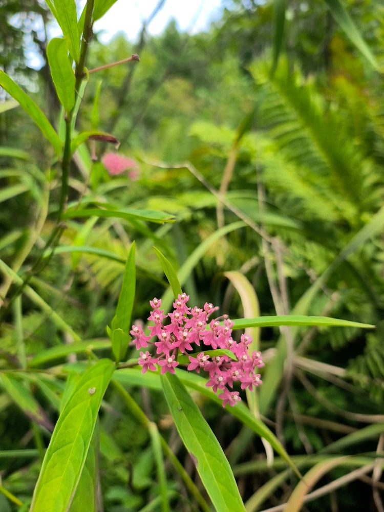 Image uploaded by Desiree