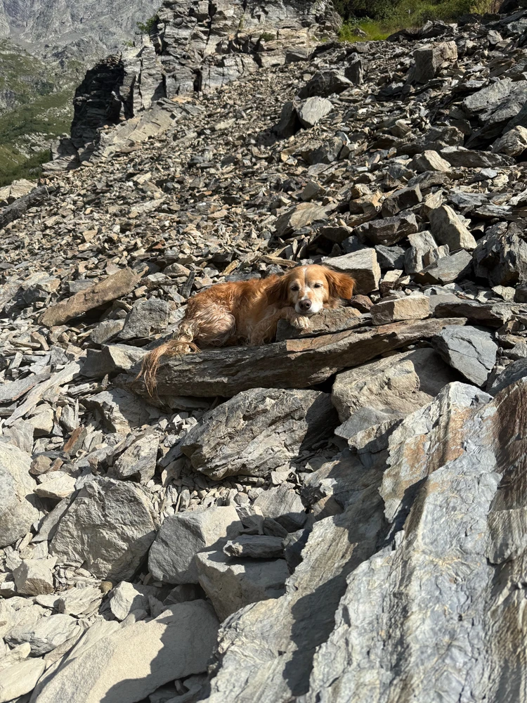 Immagine caricata da Giovanni