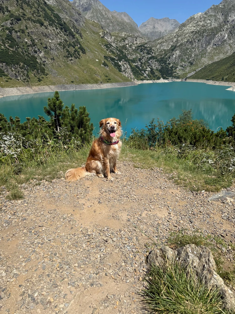 Immagine caricata da Giovanni