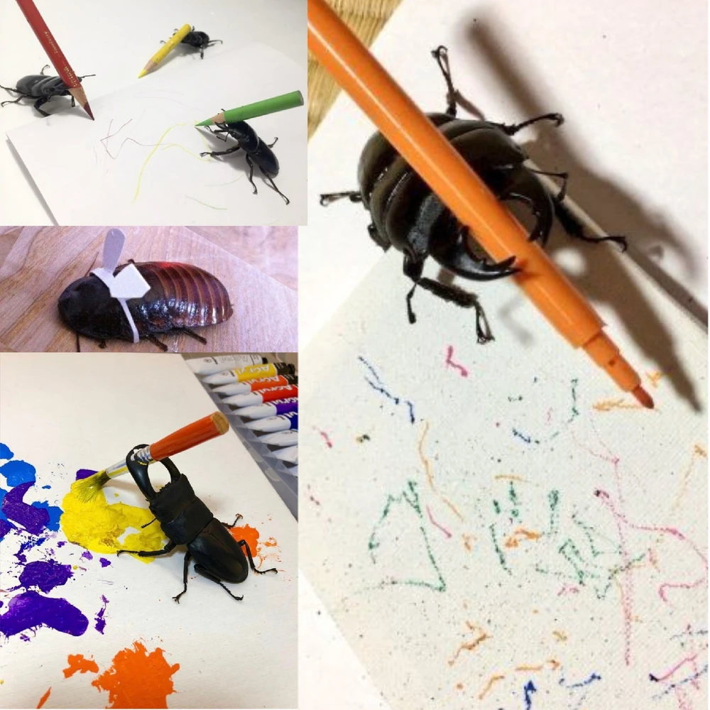 Image uploaded by Bug