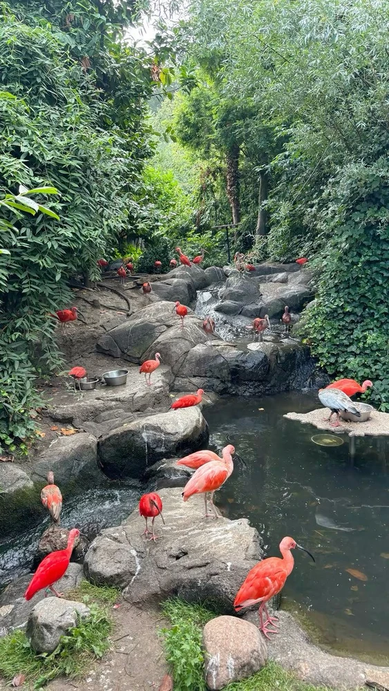 Image uploaded by Shanli