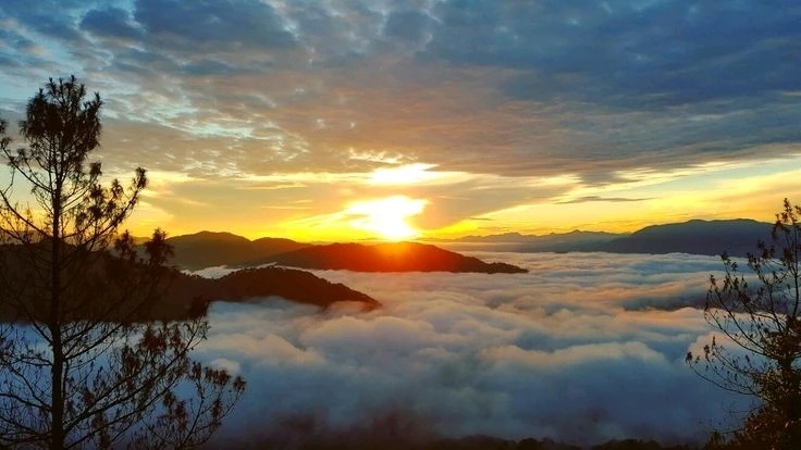 Image uploaded by Gelai