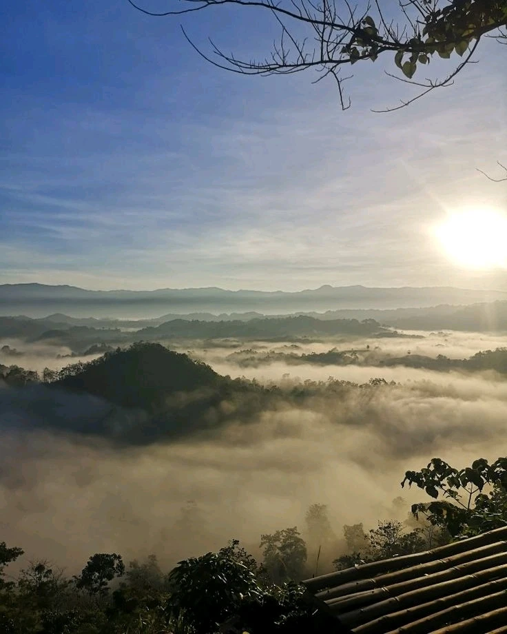 Image uploaded by Gelai