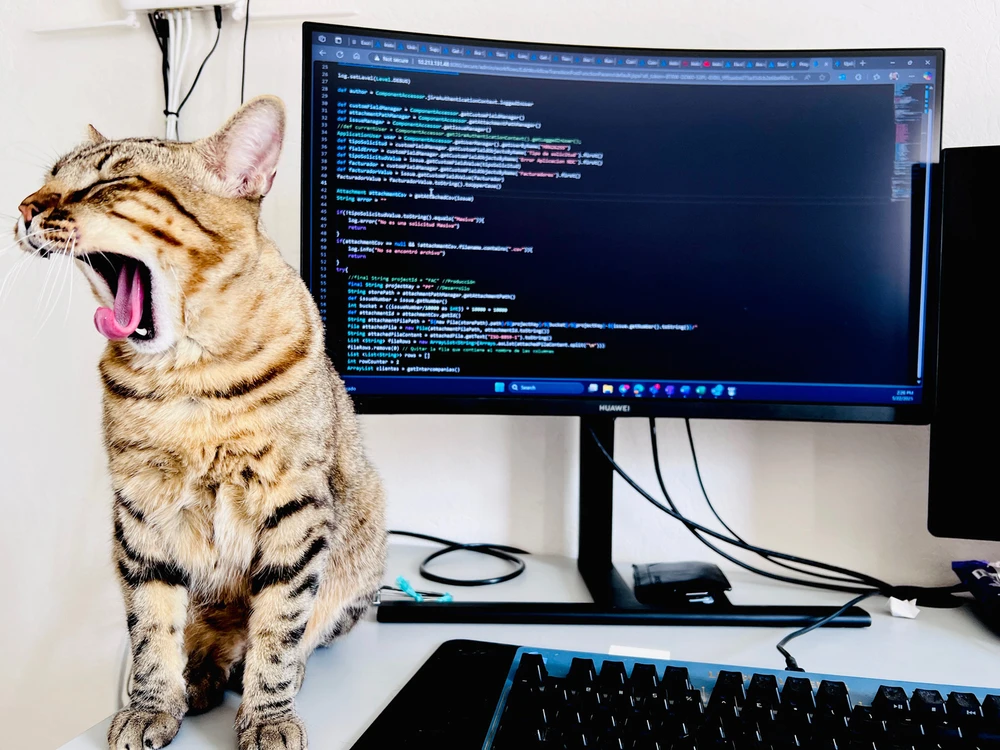 Imagen subida por Deckar Alain Montiel Quintero