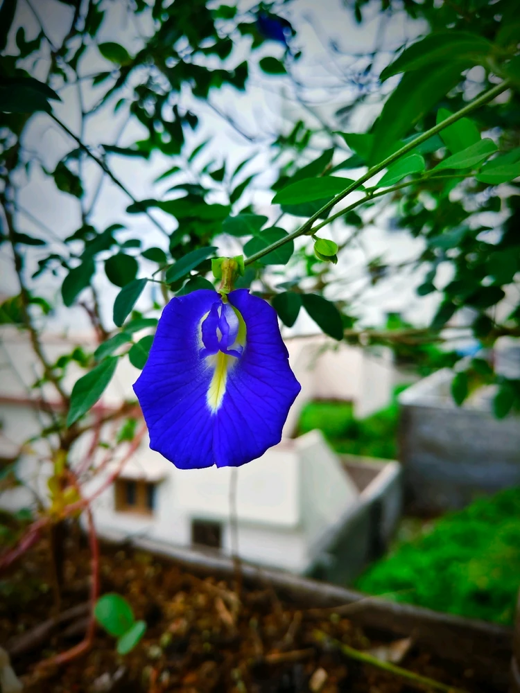 GIF uploaded by Suraj Singh (Abhi)