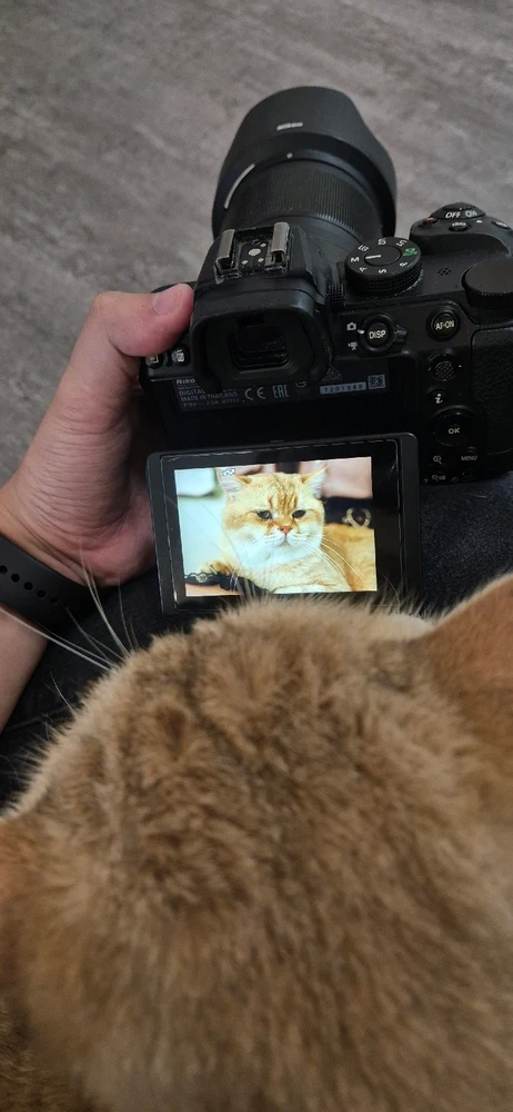 GIF uploaded by Caspy
