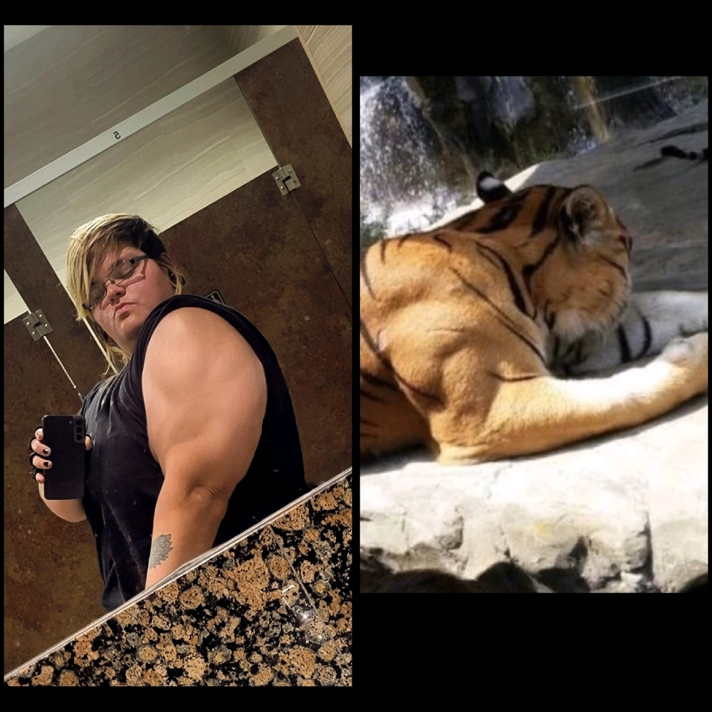 Getting closer to those tiger arms!