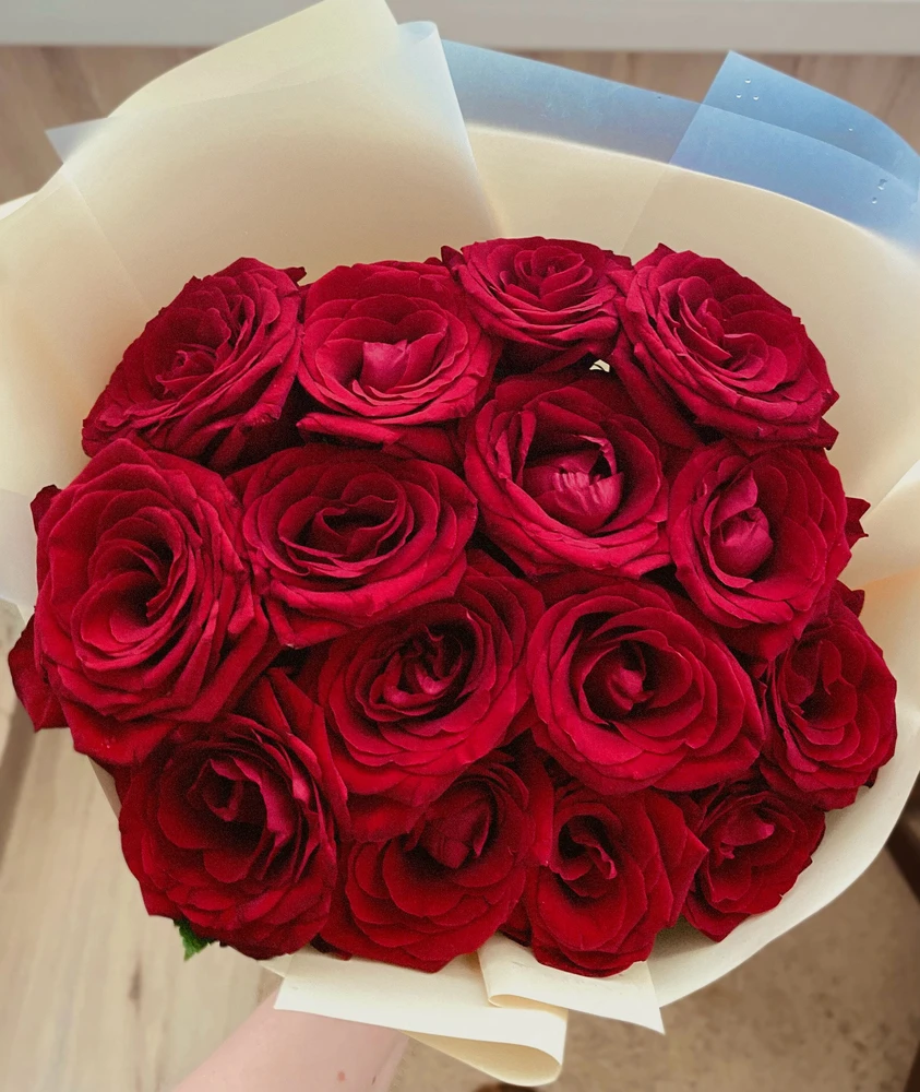 GIF uploaded by Katyusha