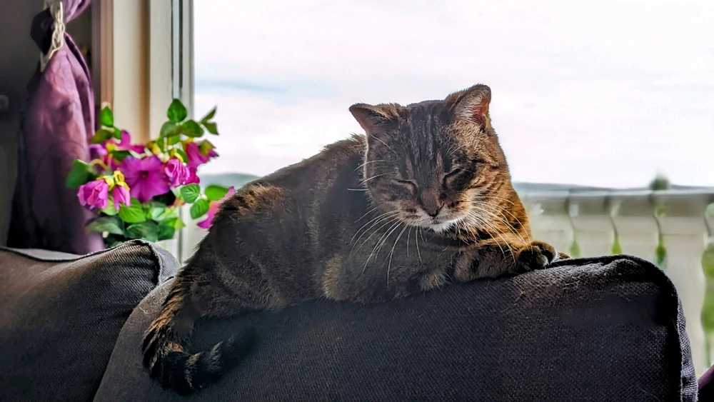 GIF uploaded by Miidna