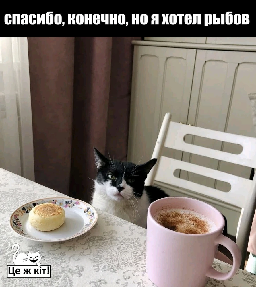 GIF загрузил Kate